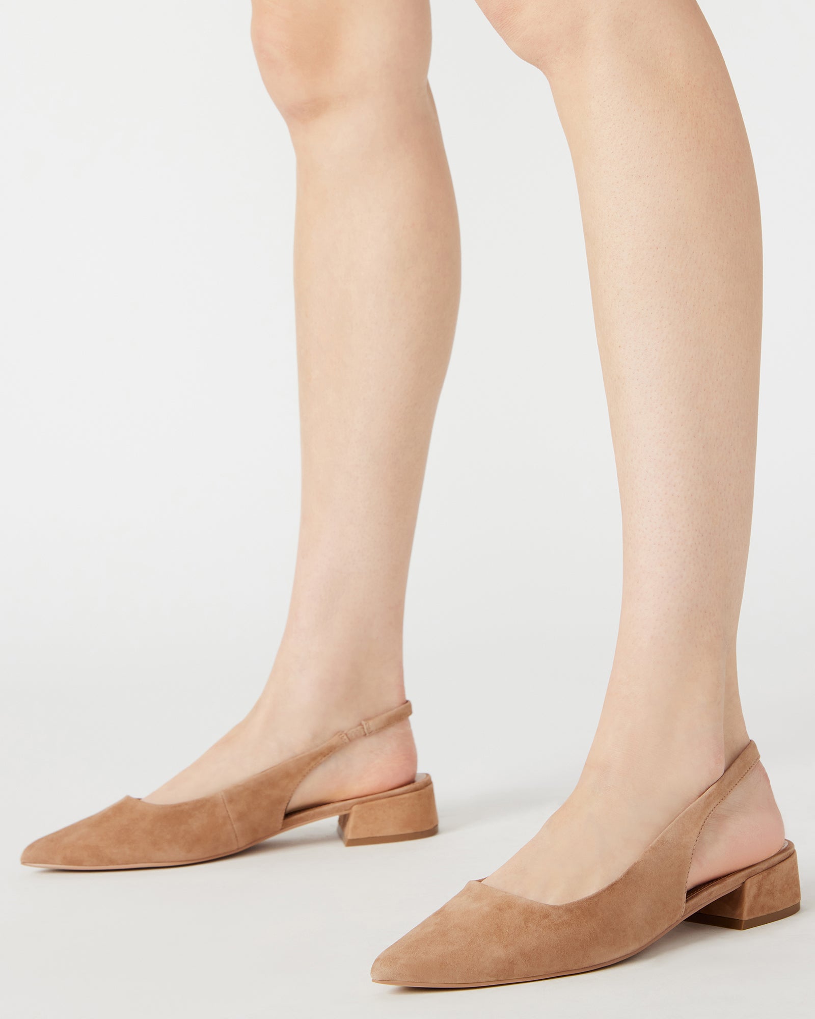 BLAKELY Camel Suede Point Toe Slingback Flat | Women's Flats – Steve Madden