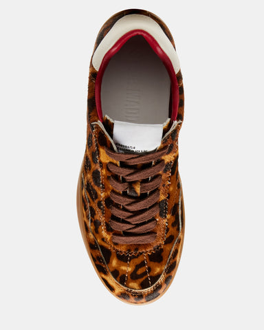 Steve madden sales bree leopard