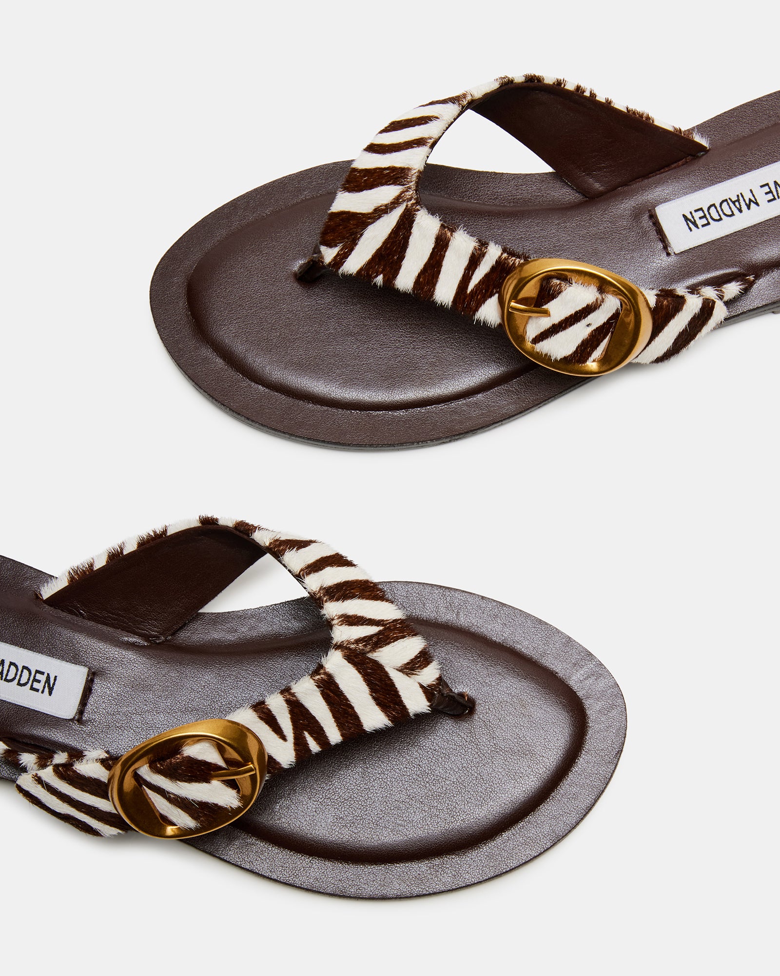 RAYS Zebra Thong Sandal | Women's Sandals – Steve Madden