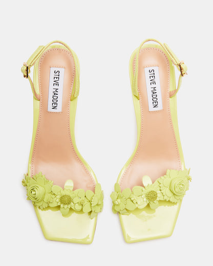 ROSALEA LIME PATENT