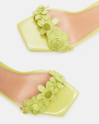 ROSALEA LIME PATENT