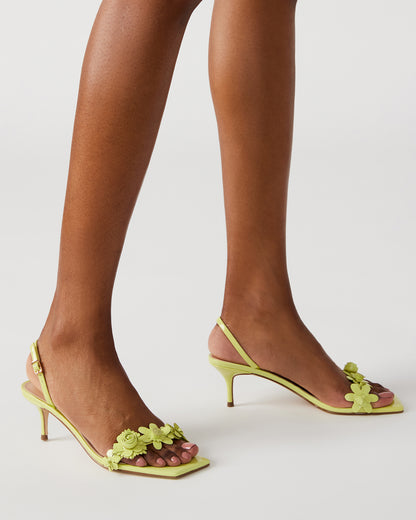 ROSALEA LIME PATENT