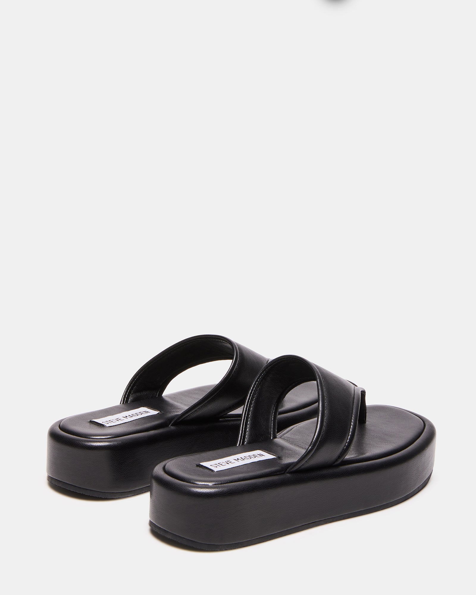 SABANA Black Thong Sandal | Women's Sandals – Steve Madden
